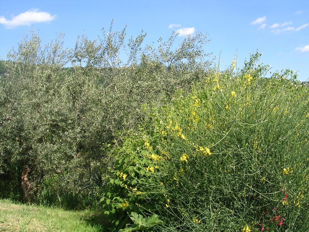 Guardalaluna Villa Pian Di Sco Exterior photo